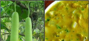 WhatsApp Image 2024-03-04 at 5.27.04 PM