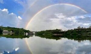 WhatsApp Image 2024-03-05 at 3.26.58 PM