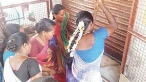 WhatsApp Image 2024-03-05 at 4.32.50 PM