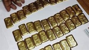 WhatsApp Image 2024-03-05 at 4.42.02 PM