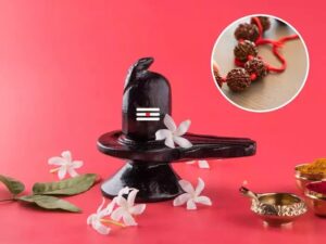 WhatsApp Image 2024-03-08 at 5.03.20 PM