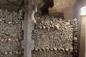 WhatsApp Image 2024-03-12 at 2.53.36 PM