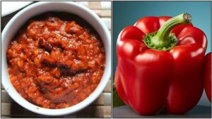 WhatsApp Image 2024-03-12 at 5.17.53 PM