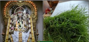 WhatsApp Image 2024-03-12 at 5.23.55 PM