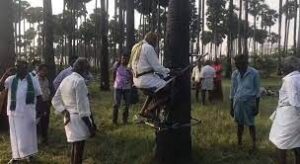 WhatsApp Image 2024-03-14 at 11.01.40 AM