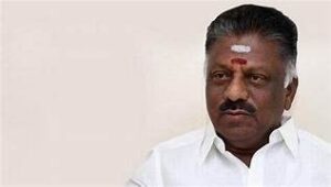 WhatsApp Image 2024-03-15 at 3.31.54 PM