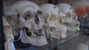 WhatsApp Image 2024-03-16 at 5.10.01 PM