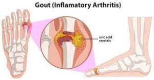 WhatsApp Image 2024-03-20 at 3.46.38 PM