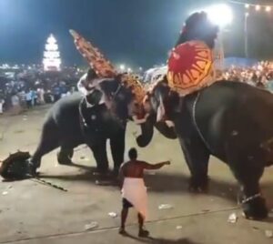 WhatsApp Image 2024-03-23 at 12.33.16 PM