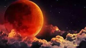 WhatsApp Image 2024-03-25 at 11.19.07 AM