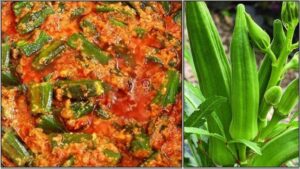 WhatsApp Image 2024-03-25 at 4.19.40 PM