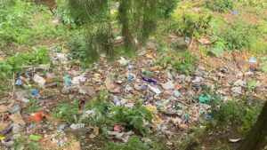 WhatsApp Image 2024-03-27 at 1.14.41 PM