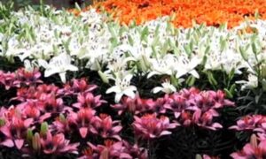 WhatsApp Image 2024-03-27 at 1.28.50 PM