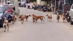 WhatsApp Image 2024-03-27 at 2.19.59 PM