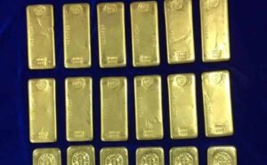 WhatsApp Image 2024-03-28 at 11.46.43 AM