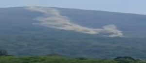 WhatsApp Image 2024-03-29 at 12.58.49 PM