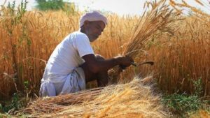 WhatsApp Image 2024-03-30 at 1.48.09 PM