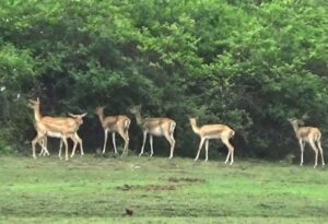 WhatsApp Image 2024-03-30 at 9.59.31 AM