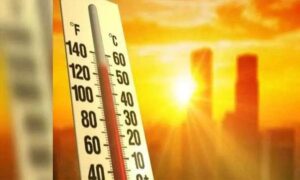 WhatsApp Image 2024-04-01 at 2.17.18 PM