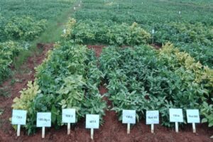 WhatsApp Image 2024-04-01 at 3.55.51 PM