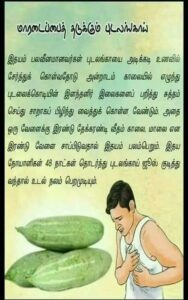 WhatsApp Image 2024-04-01 at 4.23.24 PM