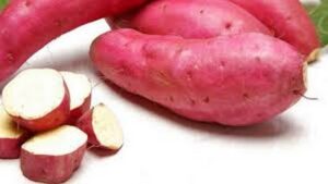 WhatsApp Image 2024-04-01 at 4.33.29 PM