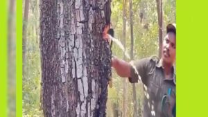 WhatsApp Image 2024-04-02 at 10.42.21 AM