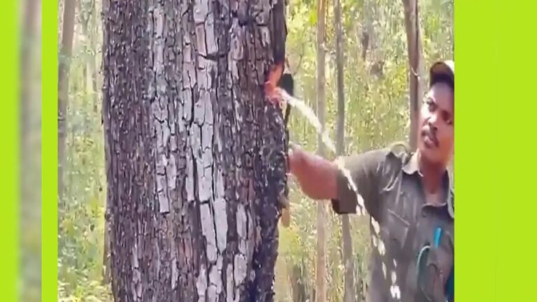 WhatsApp Image 2024-04-02 at 10.42.21 AM