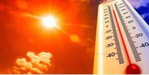 WhatsApp Image 2024-04-04 at 2.48.28 PM