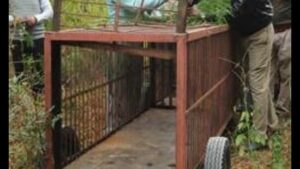 WhatsApp Image 2024-04-05 at 3.04.26 PM