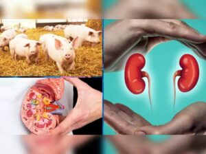 WhatsApp Image 2024-04-08 at 3.10.20 PM