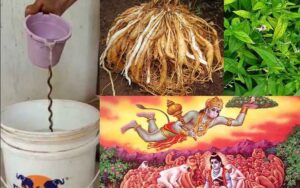 WhatsApp Image 2024-04-08 at 3.26.37 PM