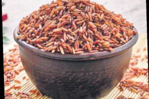 WhatsApp Image 2024-04-08 at 3.49.49 PM