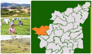 WhatsApp Image 2024-04-09 at 1.10.42 PM