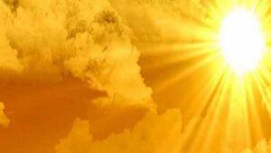 WhatsApp Image 2024-04-10 at 10.26.43 AM