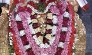 WhatsApp Image 2024-04-10 at 12.15.39 PM