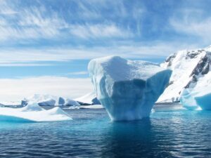 WhatsApp Image 2024-04-10 at 3.47.59 PM