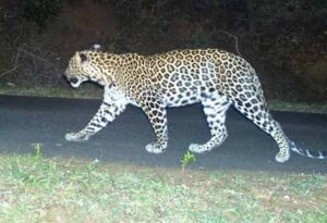 WhatsApp Image 2024-04-12 at 11.02.23 AM