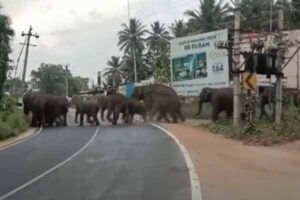 WhatsApp Image 2024-04-12 at 4.11.02 PM