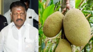 WhatsApp Image 2024-04-13 at 1.13.01 PM