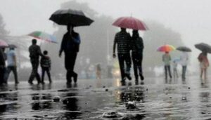 WhatsApp Image 2024-04-13 at 12.00.41 PM