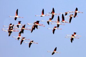 WhatsApp Image 2024-04-13 at 12.20.44 PM