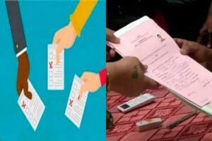 WhatsApp Image 2024-04-13 at 3.30.31 PM