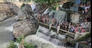 WhatsApp Image 2024-04-15 at 11.41.11 AM