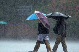 WhatsApp Image 2024-04-16 at 3.30.25 PM