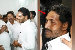 WhatsApp Image 2024-04-16 at 3.51.23 PM