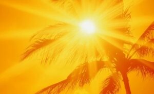 WhatsApp Image 2024-04-17 at 10.53.44 AM