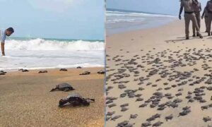 WhatsApp Image 2024-04-20 at 3.37.21 PM