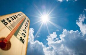 WhatsApp Image 2024-04-22 at 1.04.46 PM