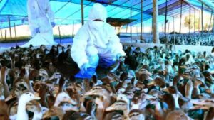 WhatsApp Image 2024-04-22 at 10.03.23 AM